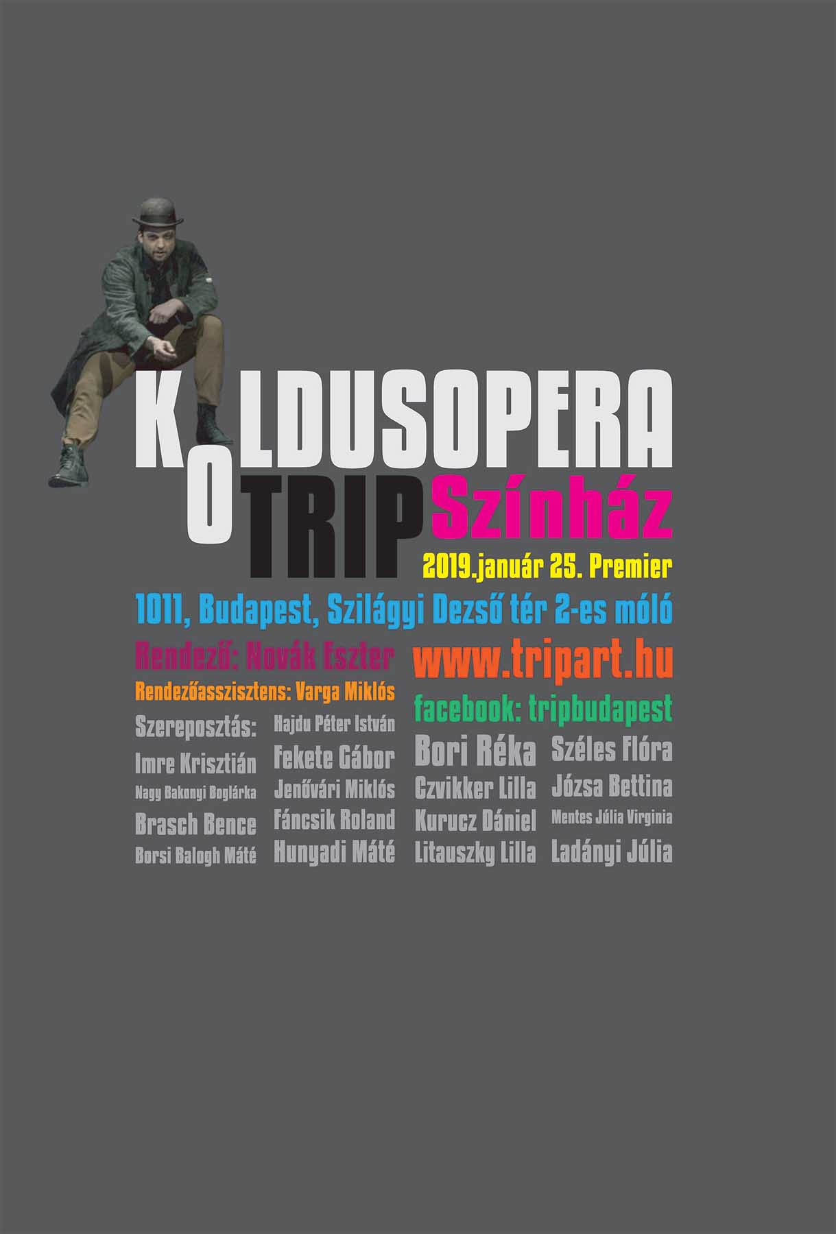 Sastinszky Dániel  grafikus képzés végén leadott portfólió 