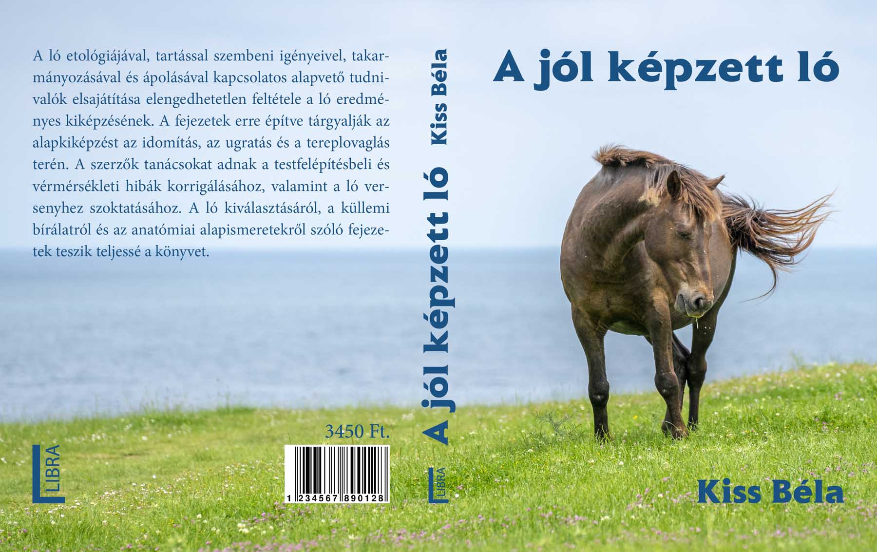 Sastinszky Dániel  grafikus képzés végén leadott portfólió 