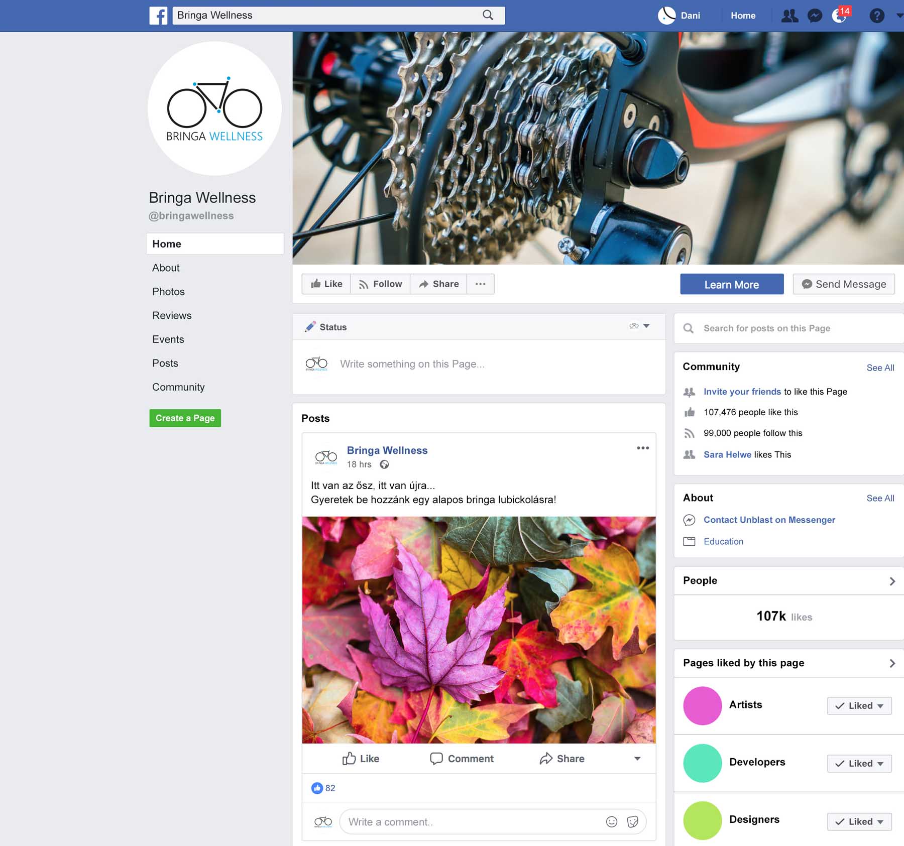 Sastinszky Dániel  grafikus képzés végén leadott vizsgaremek 