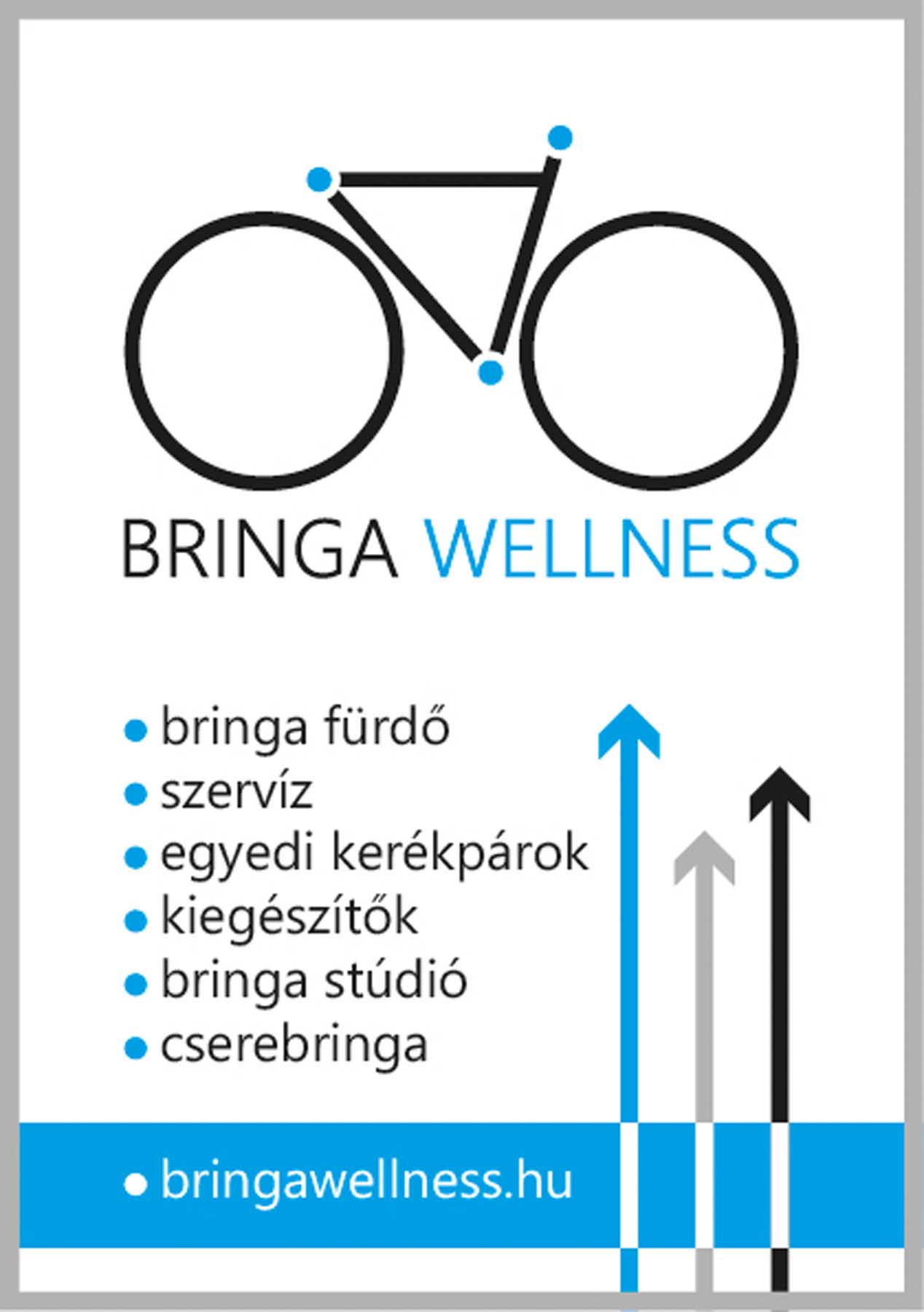 Sastinszky Dániel  grafikus képzés végén leadott vizsgaremek 