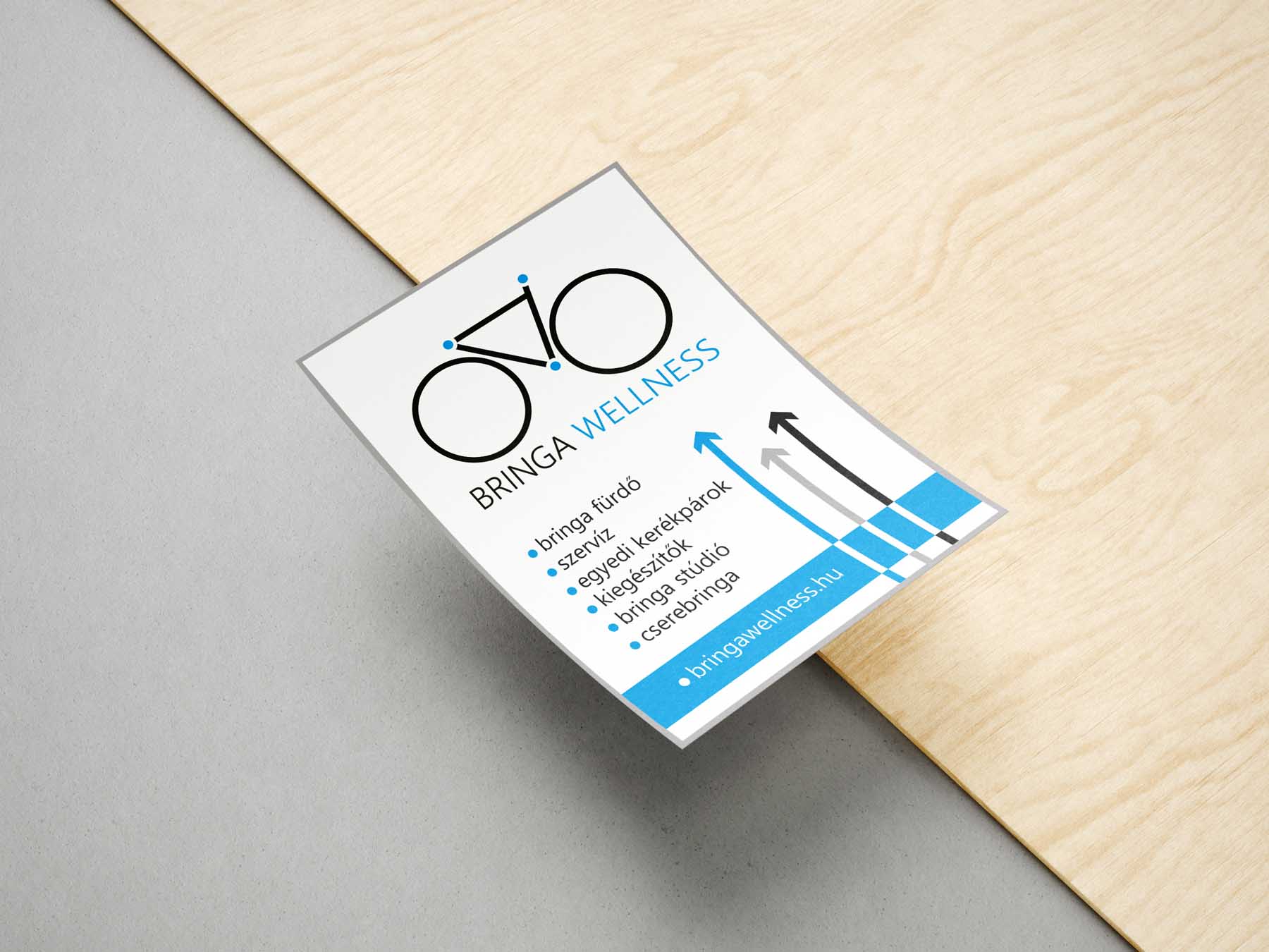 Sastinszky Dániel  grafikus képzés végén leadott vizsgaremek 