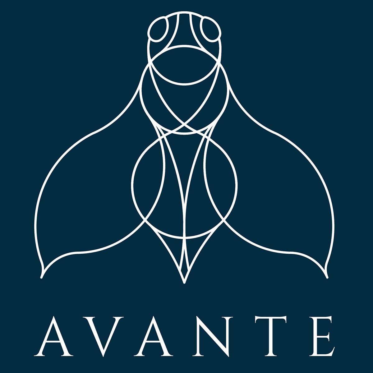 Kiss Rozália grafikus tanfolyam