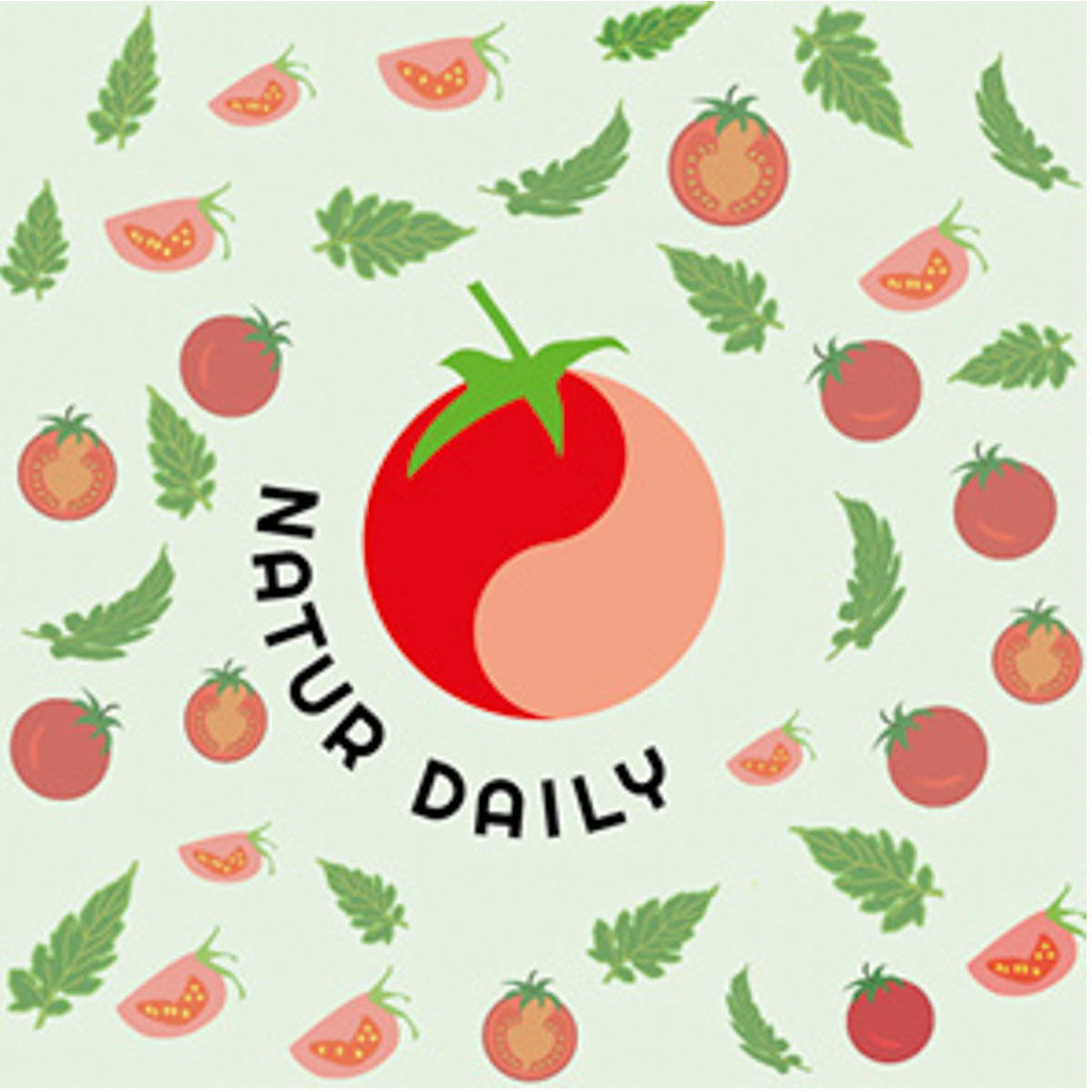 Nagy Csaba grafikus tanfolyam