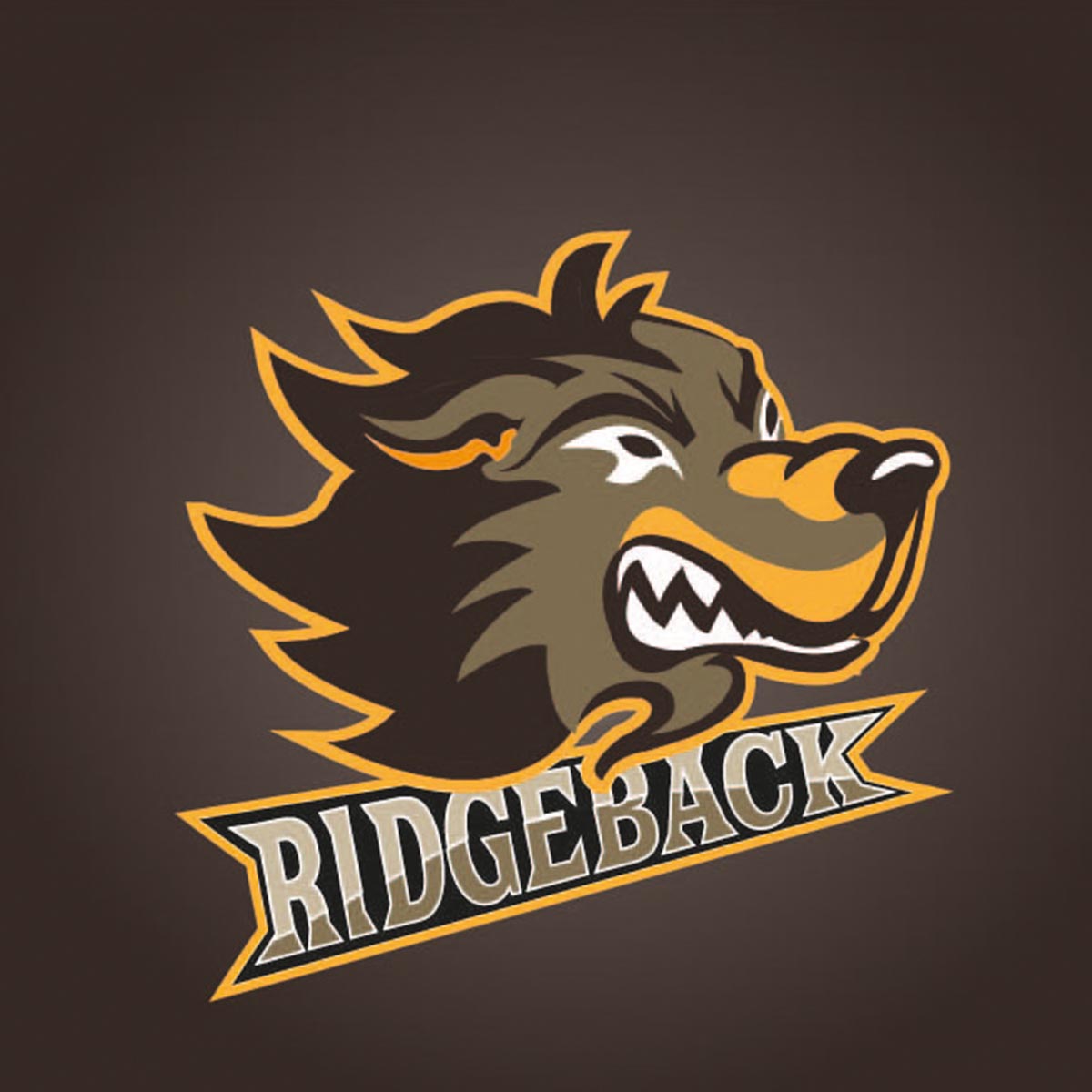 Németh Tímea grafikus tanfolyam