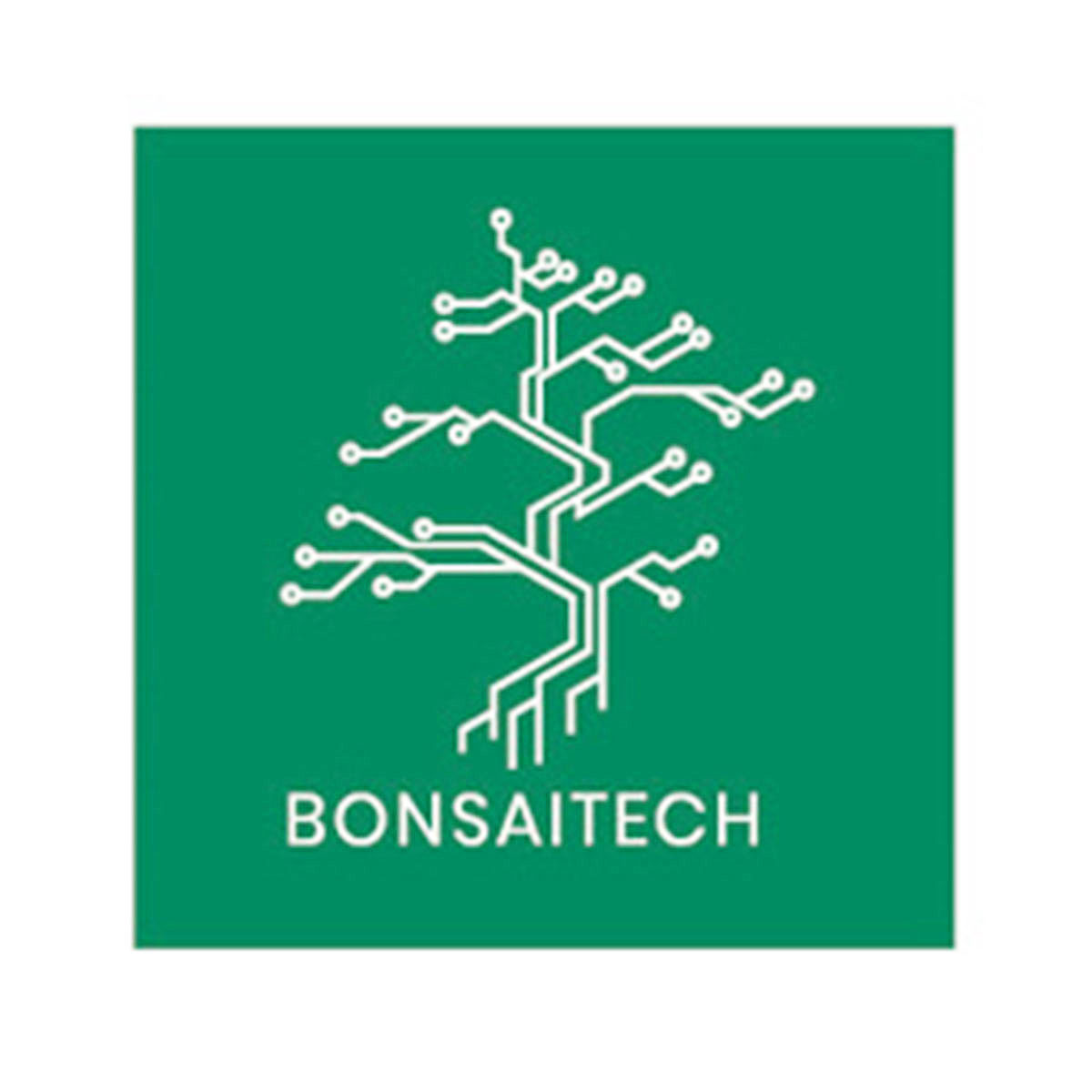 Pál Anita grafikus tanfolyam