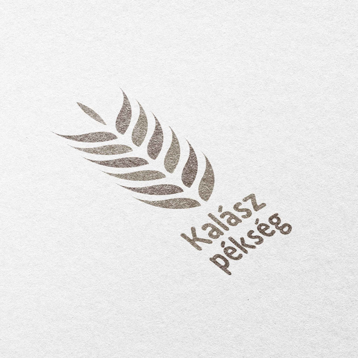 Szőke-Szabó Zsuzsa grafikus tanfolyam