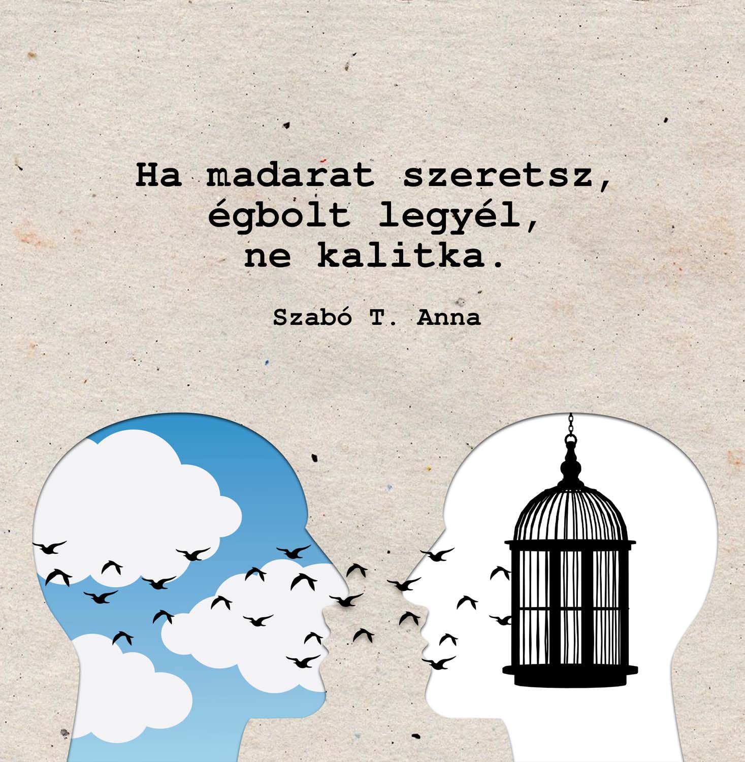 Vásáreczki Csenge grafikus képzés végén leadott portfólió 