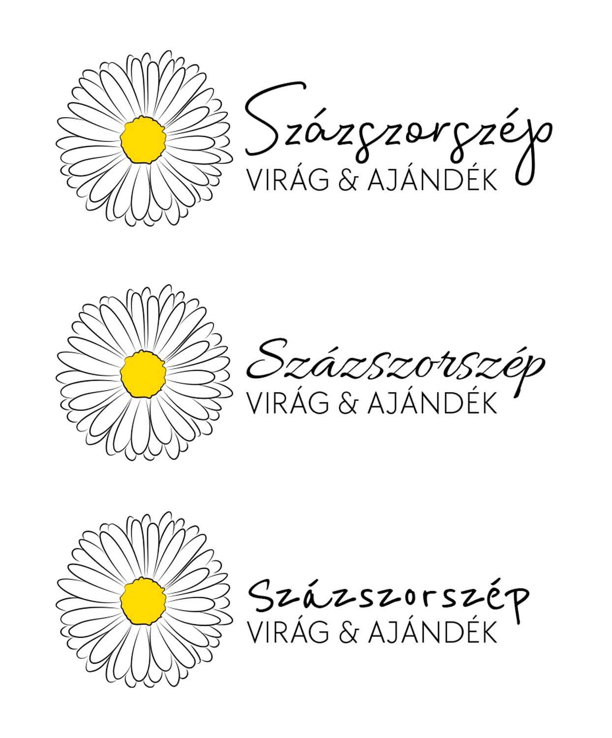 Vásáreczki Csenge grafikus képzés végén leadott portfólió 