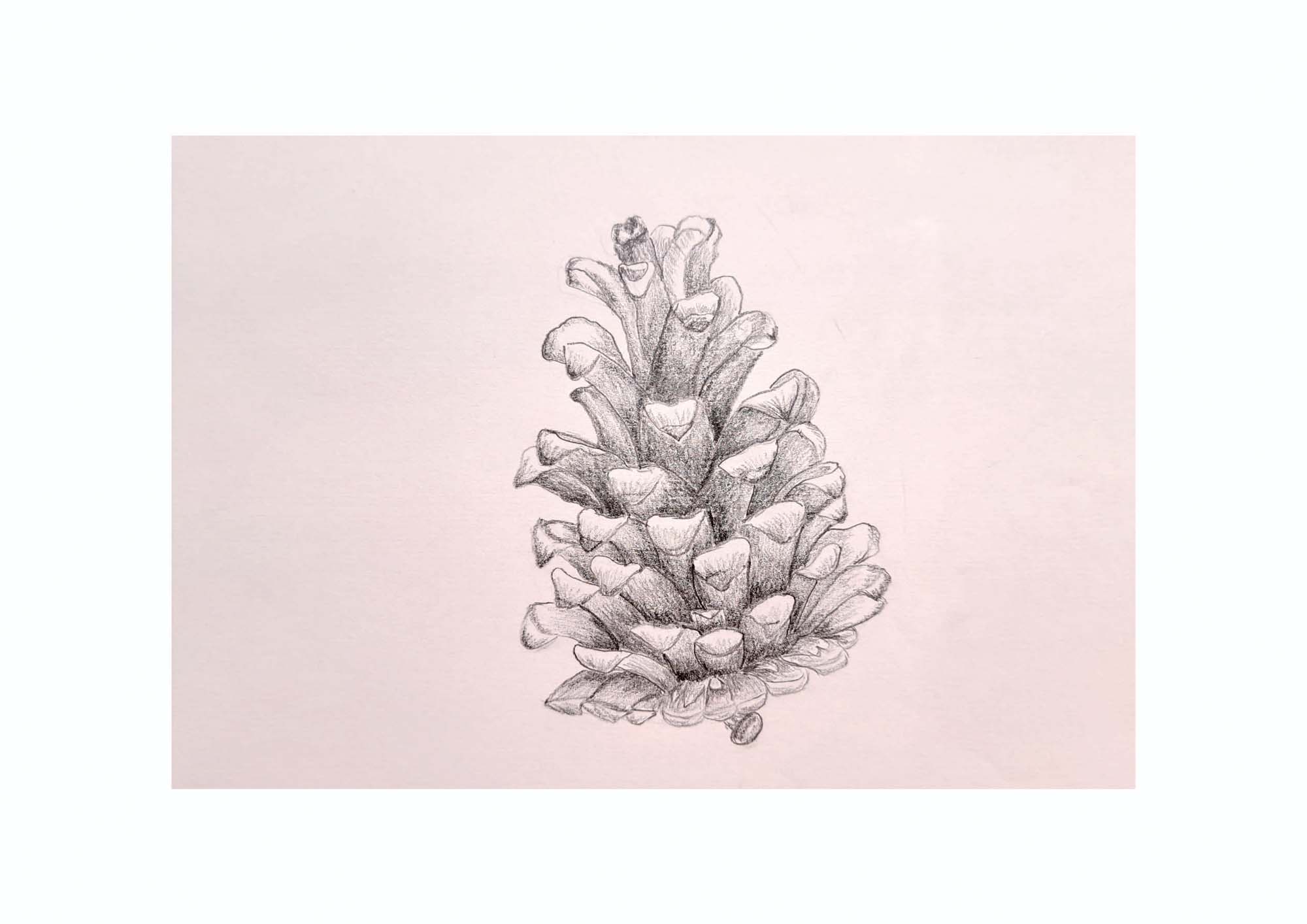 Fodorné Nagy Veronika grafikus képzés végén leadott portfólió 