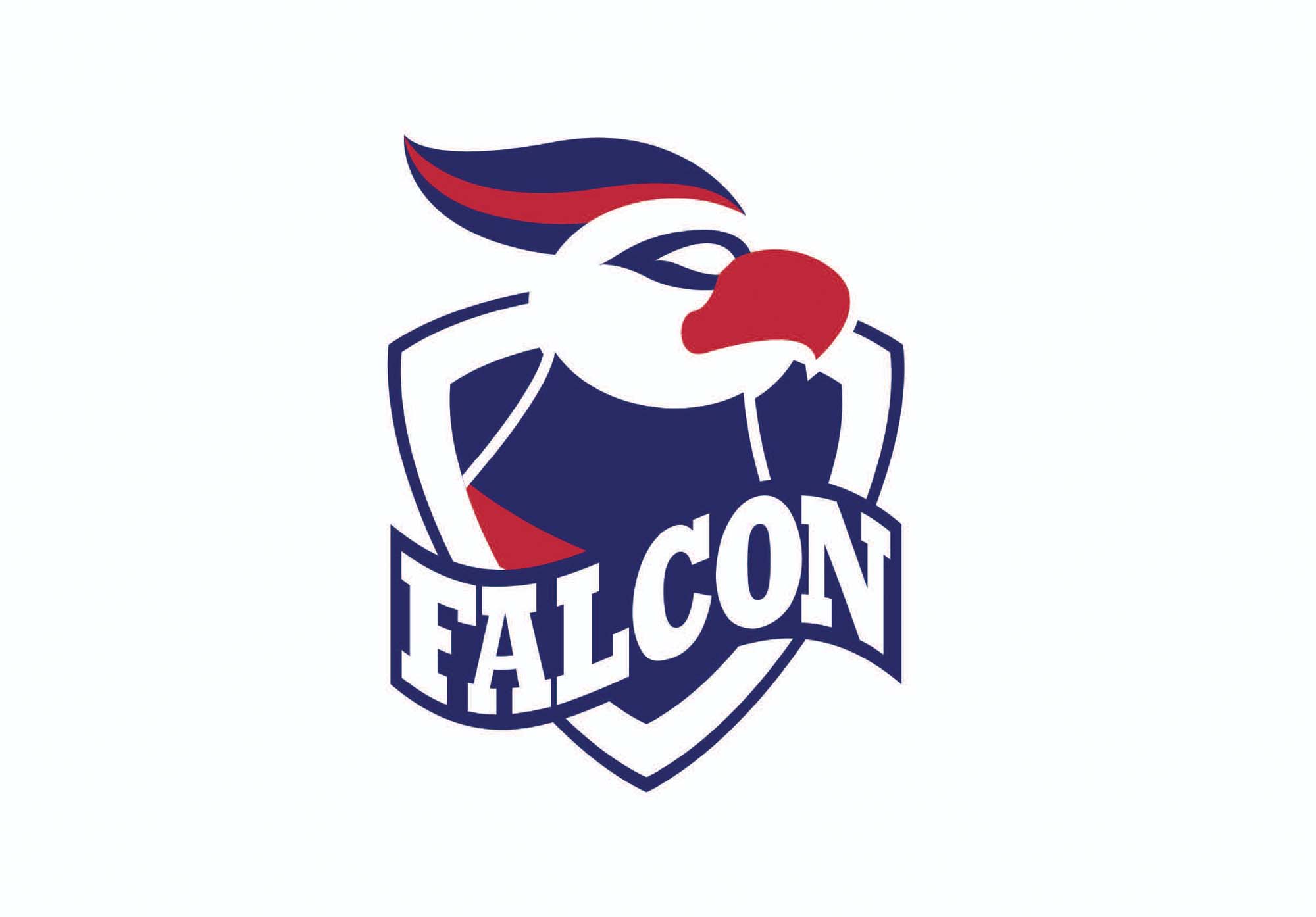 Fodorné Nagy Veronika grafikus képzés végén leadott portfólió 