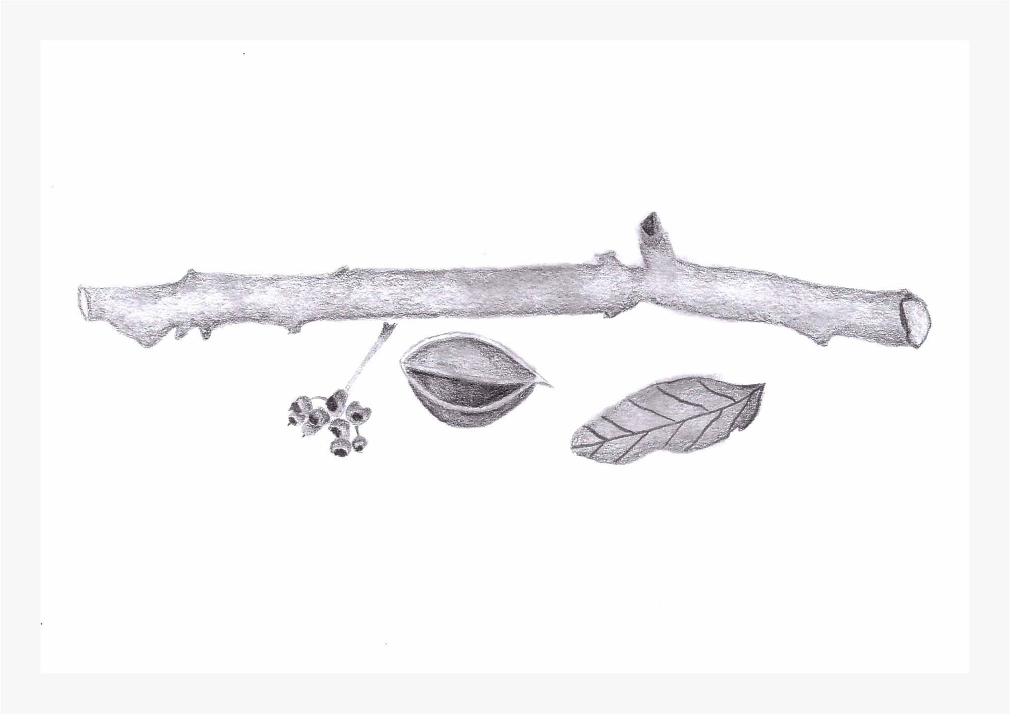 Primmer Réka grafikus képzés végén leadott portfólió 