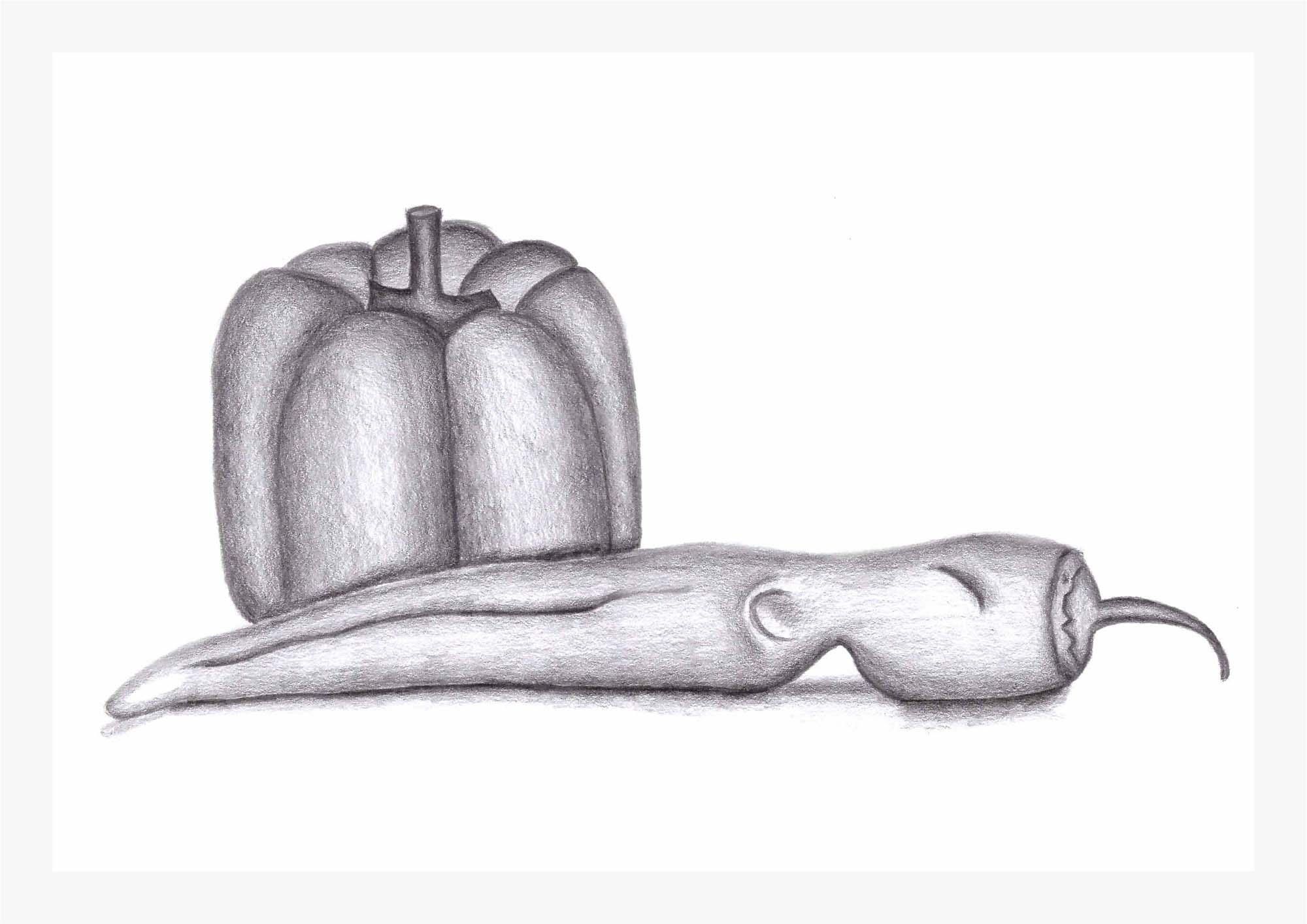 Primmer Réka grafikus képzés végén leadott portfólió 