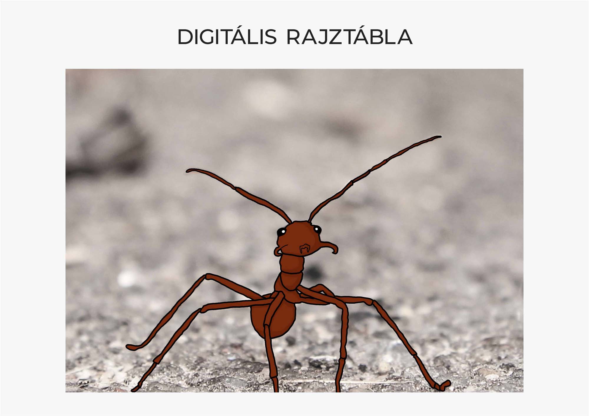 Primmer Réka grafikus képzés végén leadott portfólió 