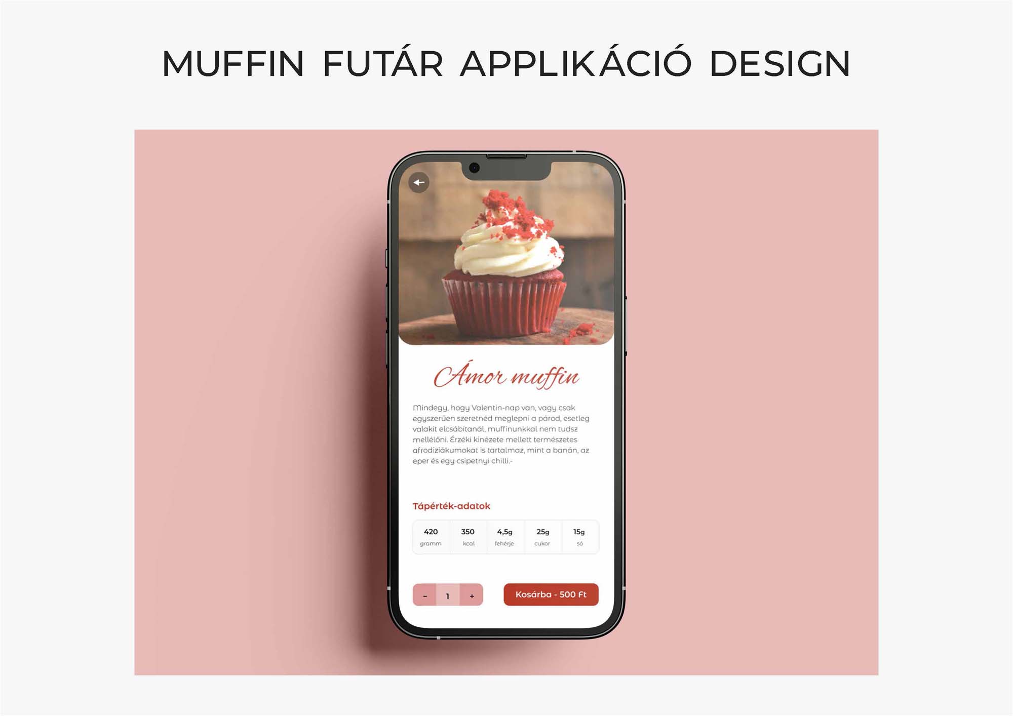 Primmer Réka grafikus képzés végén leadott portfólió 