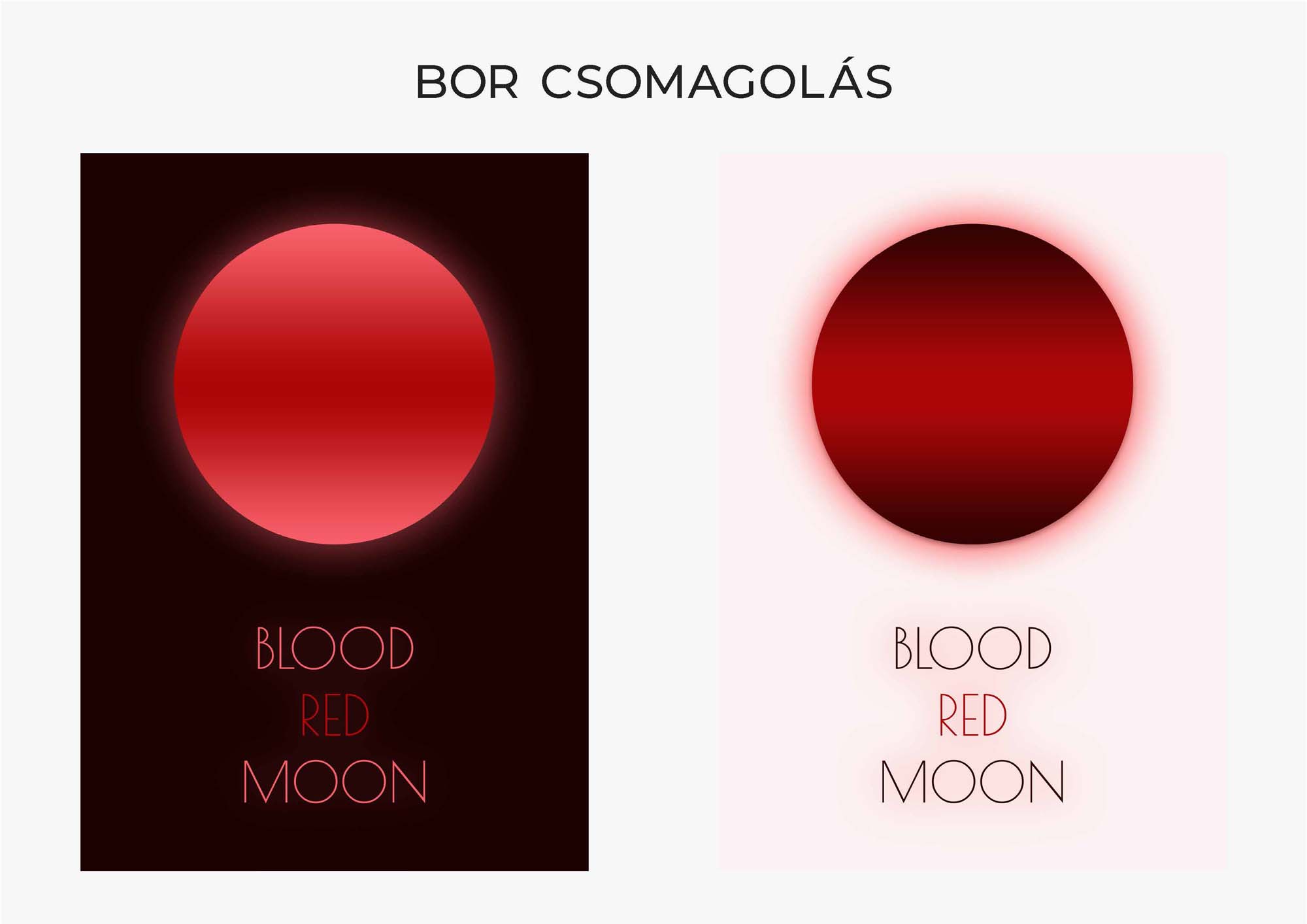 Primmer Réka grafikus képzés végén leadott portfólió 