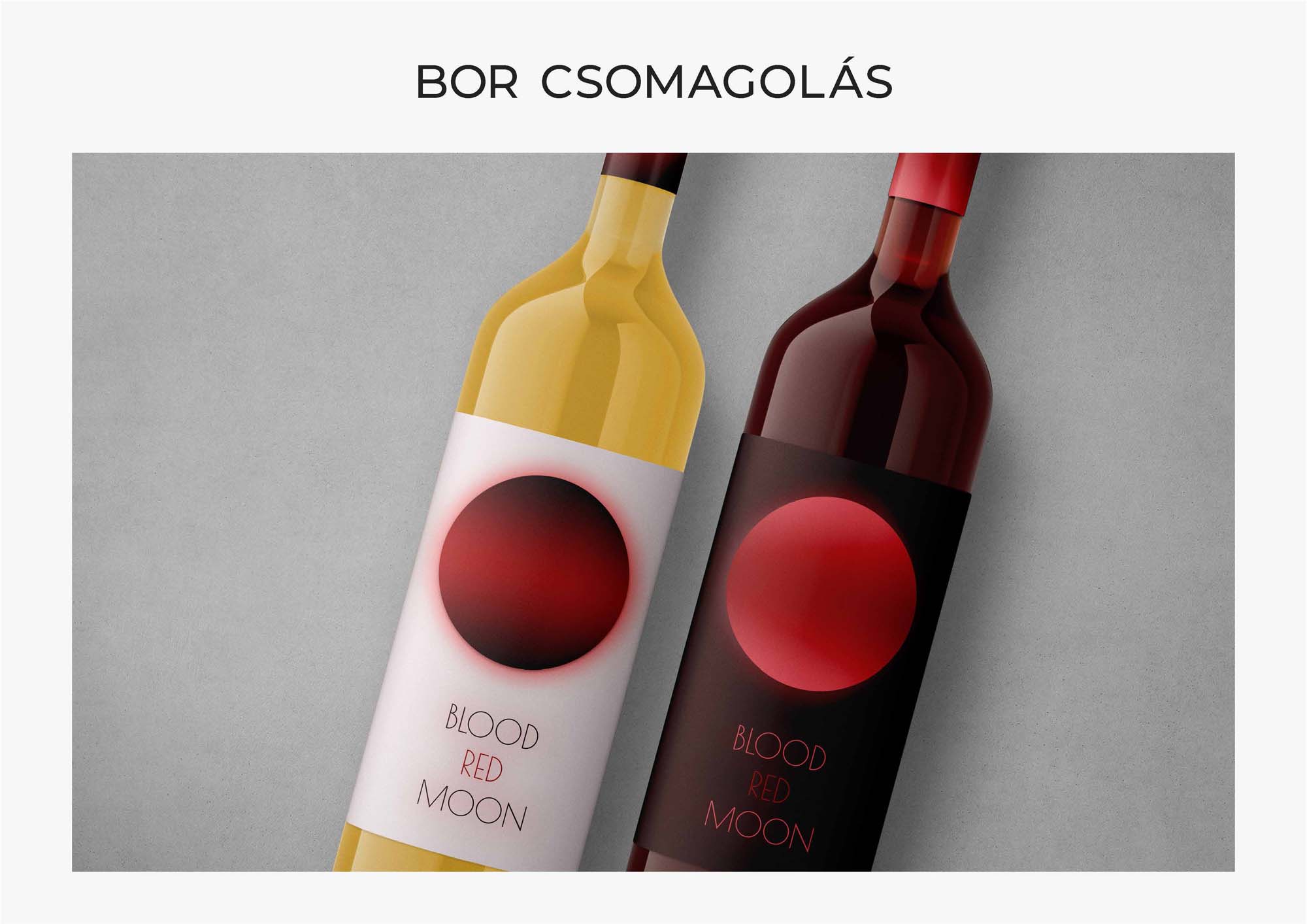 Primmer Réka grafikus képzés végén leadott portfólió 