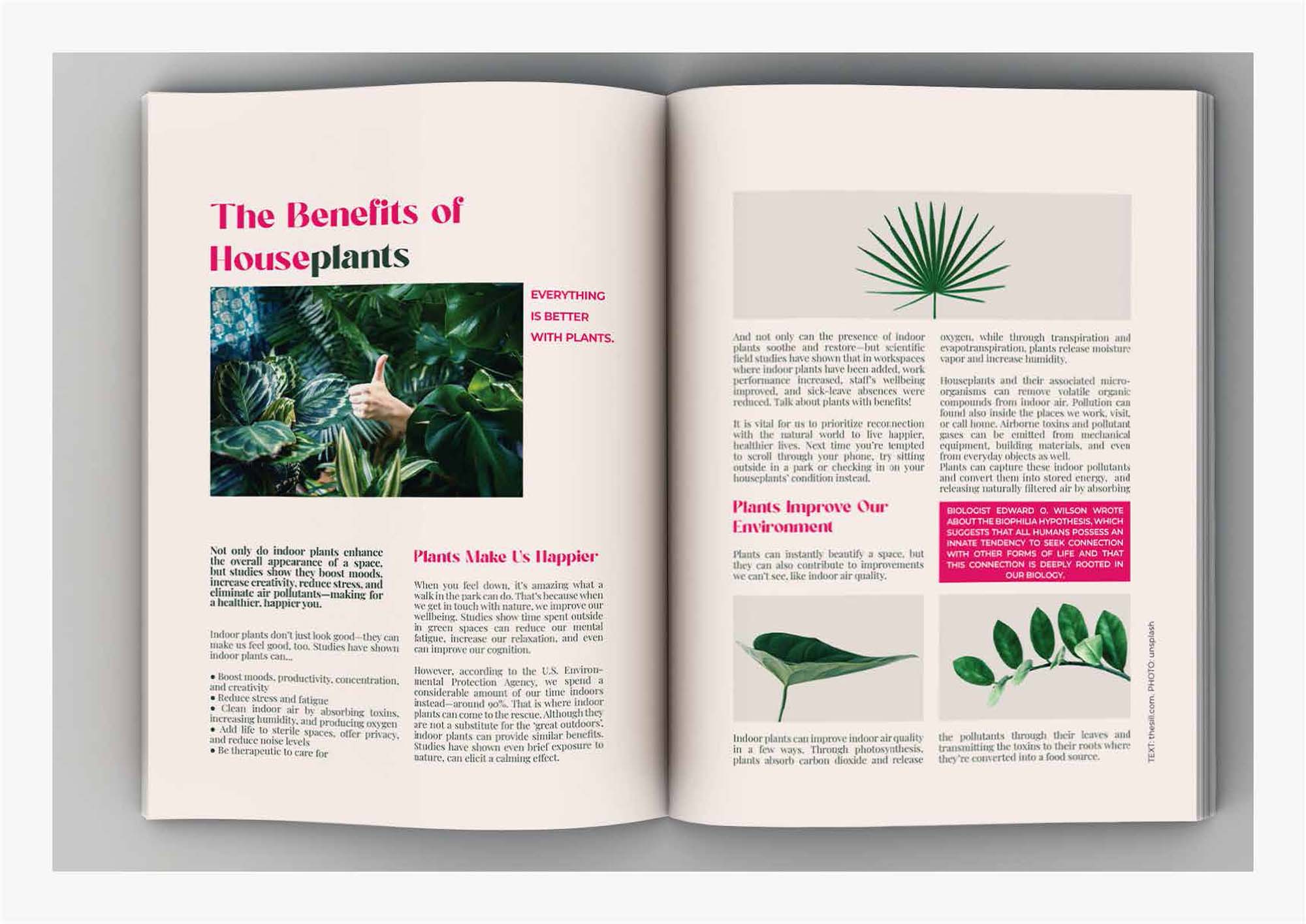 Primmer Réka grafikus képzés végén leadott portfólió 