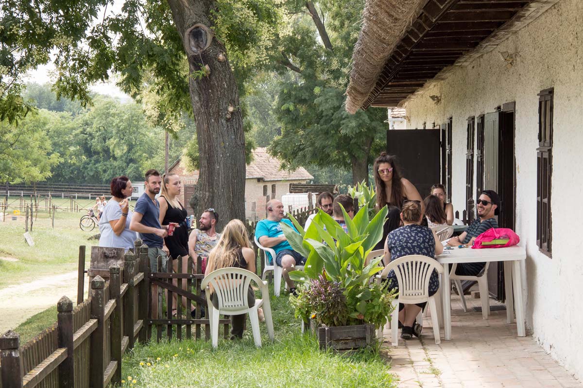 Balatoni alkotótábor Top School