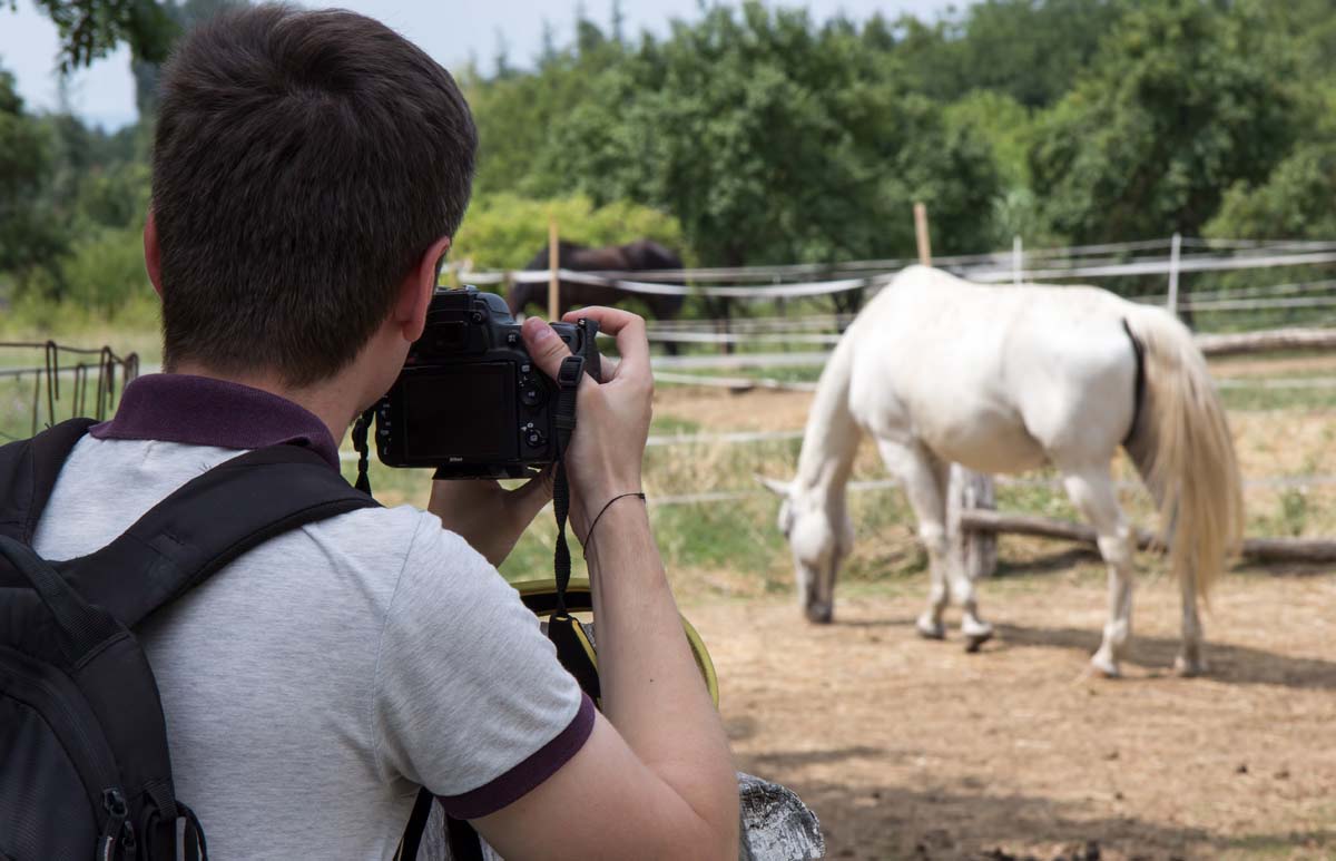 Természet fotózás