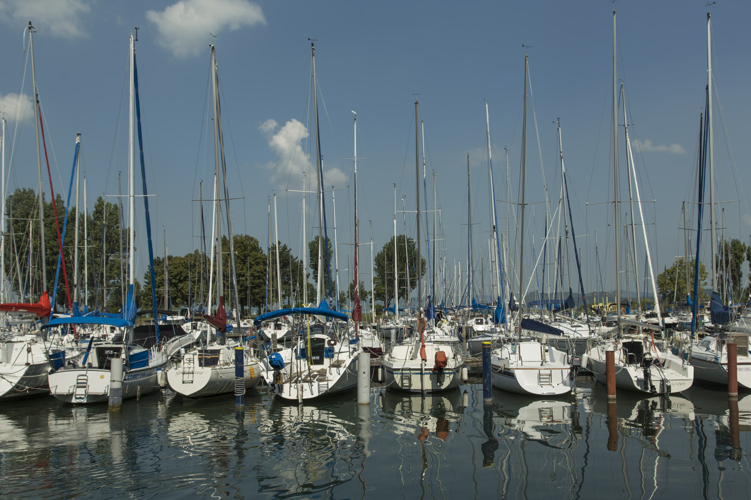 Balatoni alkotótábor