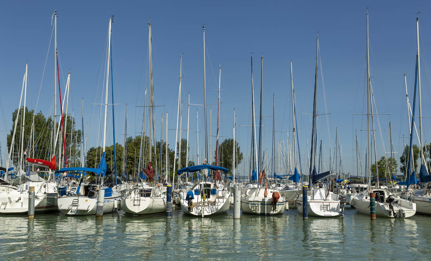 Balatoni fotóstábor