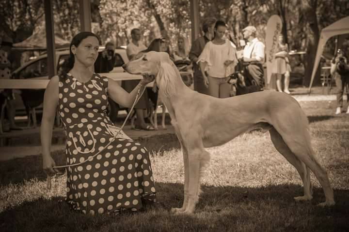 Rendezvény fotózás gyakorlat a Fotográfus OKJ tanfolyamon