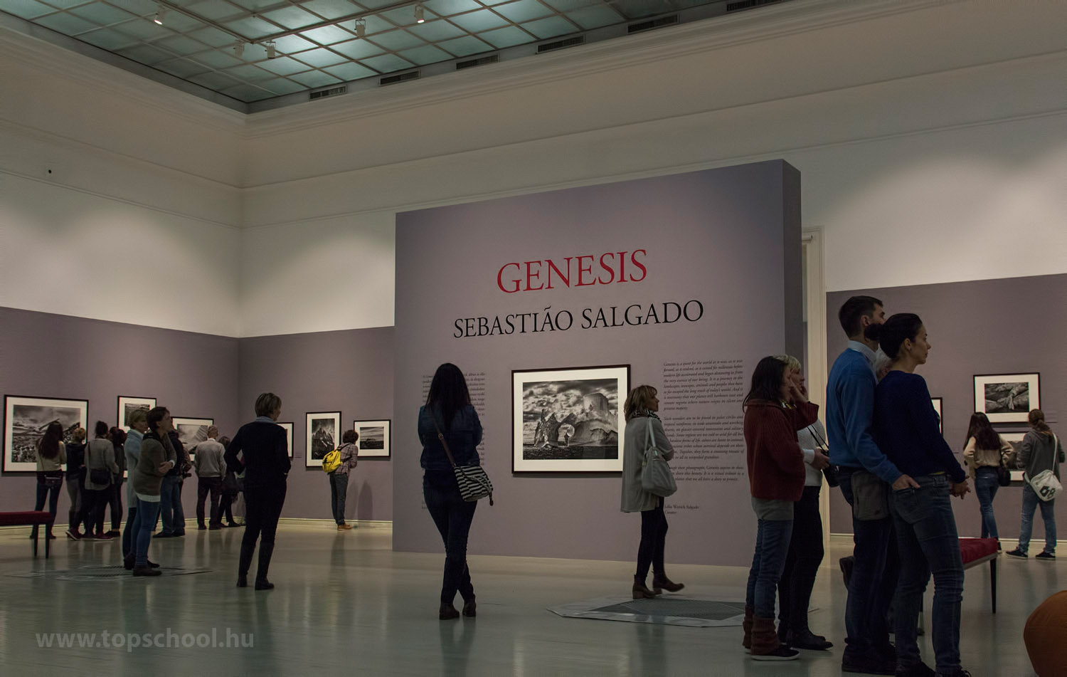 Sabastian Salgado: Genesis
